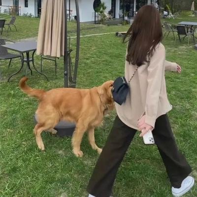 甜蜜的家乡